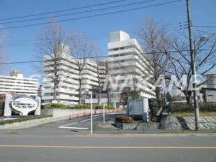 九品仏駅 徒歩4分 1階の物件内観写真